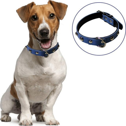 Yumuşak Dokulu Deri Köpek Gezdirme Boyun Tasması (Large)