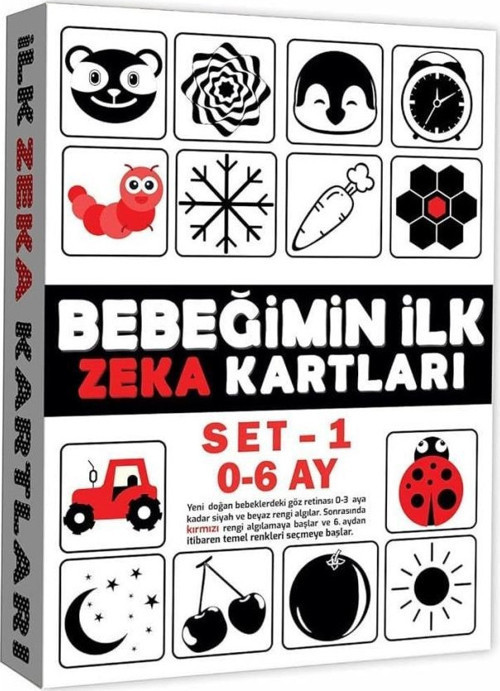 2199 Eğitici Kartlar 0-6 Ay Zeka Kartları