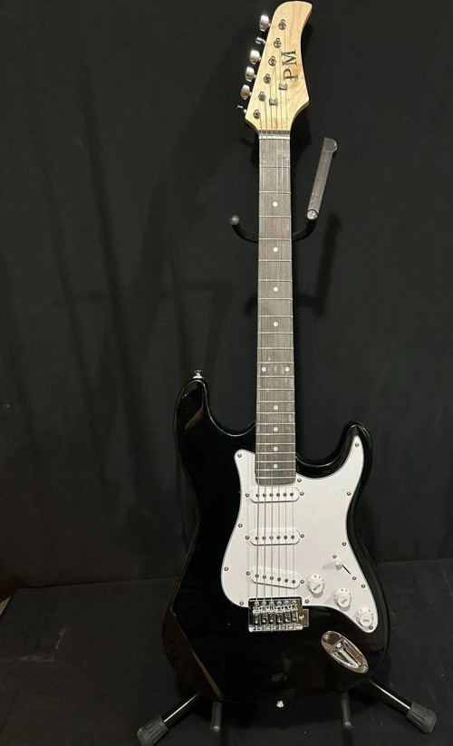 Elektro Gitar Siyah Sss Manyetik Kılıf Kablo Pena