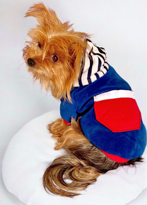 Neo Tommie Kapşonlu Köpek Sweatshirt Köpek Kıyafeti Köpek Elbisesi