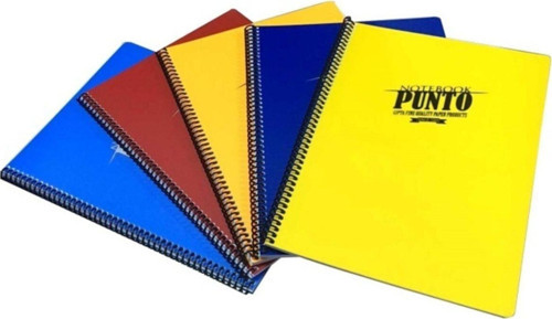 Punto A4 100 Yaprak Kareli Plastik Kapak Spiralli Defter