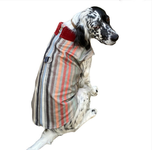 Stripe Bordo Köpek Ceketi, Orta ve Büyük ırklar için