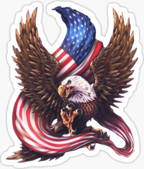 Araba Kartal Sticker Yapıştırması Etiket Amerikan Bayrağı 17cm A2