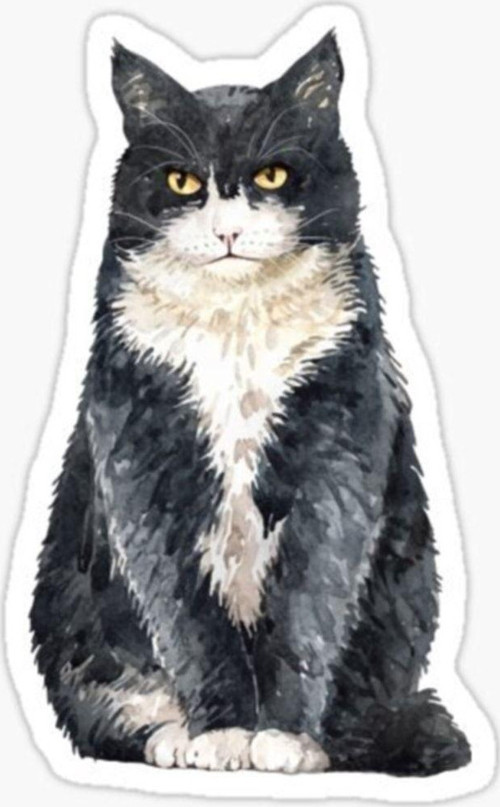 Araba Leptop Için Kedi Oto Sticker Yapıştırması Etiket 17cm Z6