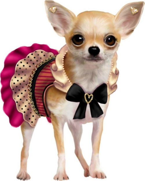 Chihuahua Fransız Bulldog Cins Köpek Sticker Yapıştırması 17cm