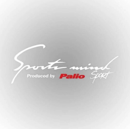 Palio Sports Mind Oto Sticker 30 cm x 11 cm yazı 136