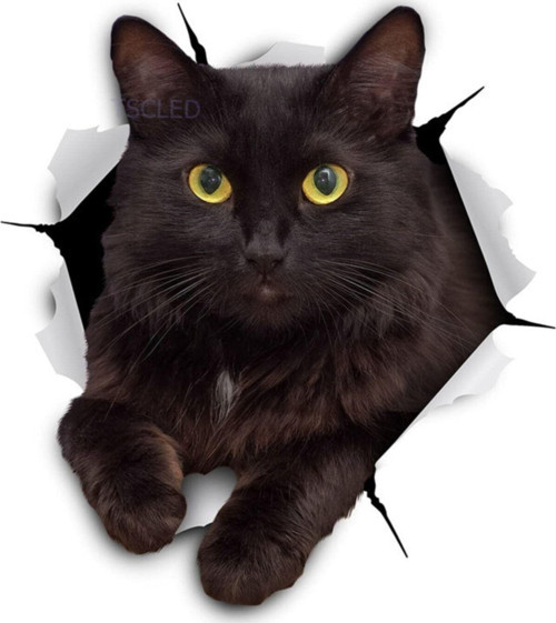 Siyah Kedi Yırtık Araba Sticker Su Geçirmez Çıkartma
