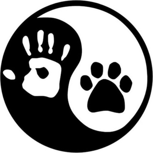 Yin Ve Yang Kedi Köpek Ayak İzleri Araba Sticker Siyah Renk