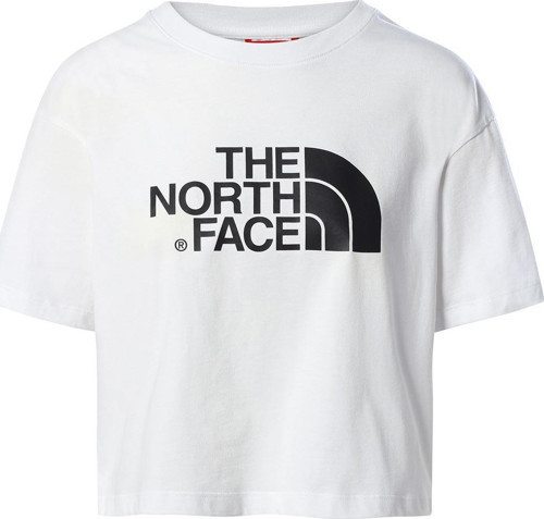 W S/S CROPPED EASY TEE Kadın T-Shirt NF0A4T1RFN41