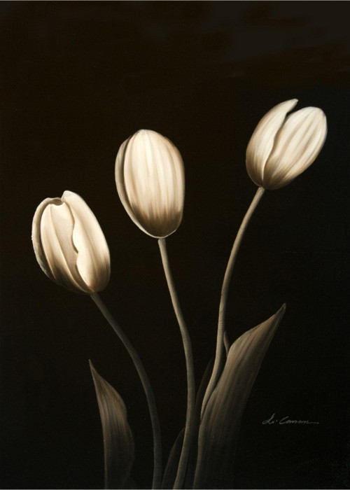 Siyah Zemin Üzerine Laleler Kanvas Tablo 60x90 cm 60x90 cm