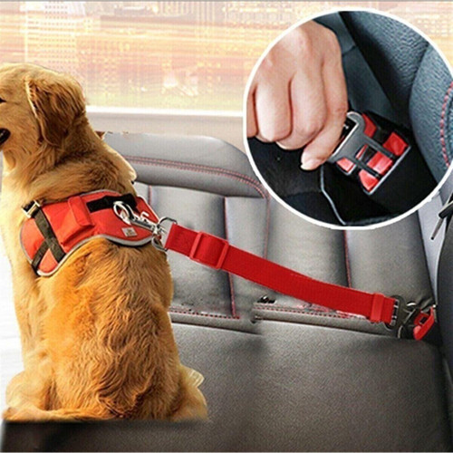 Evcil Hayvan Araç Emniyet Kemeri Kedi Köpek Araba Oto Tasması Oto Aksesuarları Kırmızı
