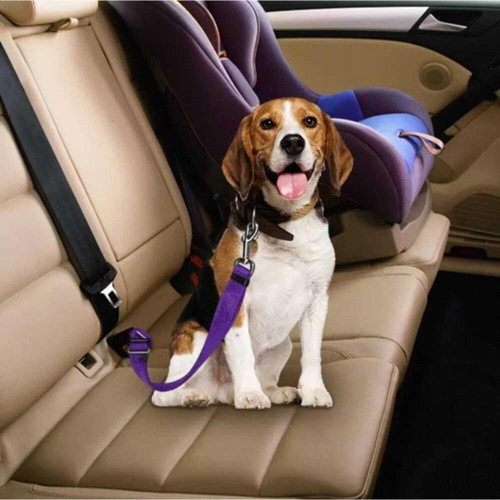 Evcil Hayvan Araç Emniyet Kemeri Kedi Köpek Araba Oto Tasması Oto Aksesuarları Mor