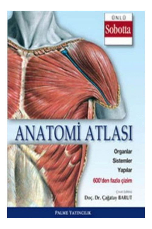 Anatomi Atlası (Sobotta Çizimleri) - Palme Yayınları