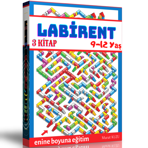 9-12 Yaş Labirent Kitap Seti (3 Fasikül Kitap) - Enine Boyuna Eğitim