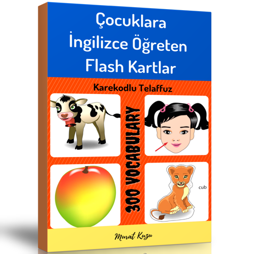 Çocuklara İngilizce Öğreten Flash Kartlar Kitap Seti (2 Kitap Spiralli) - Enine Boyuna Eğitim