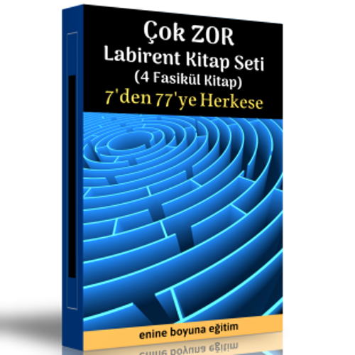 Çok Zor Labirent Kitap Seti (4 Fasikül Kitap) - Enine Boyuna Eğitim