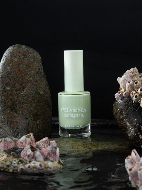 Fresh Nail Varnish 12 Ml Oje - 101