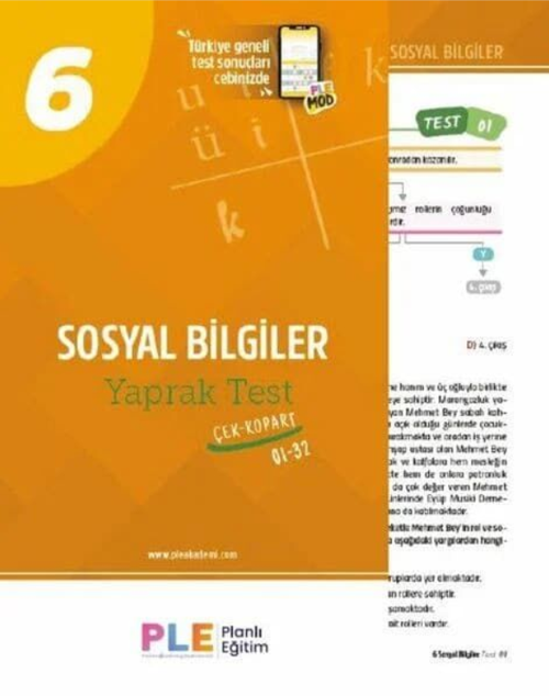 Birey PLE 6. Sınıf Sosyal Bilgiler 32 Yaprak Test Birey Yayınları