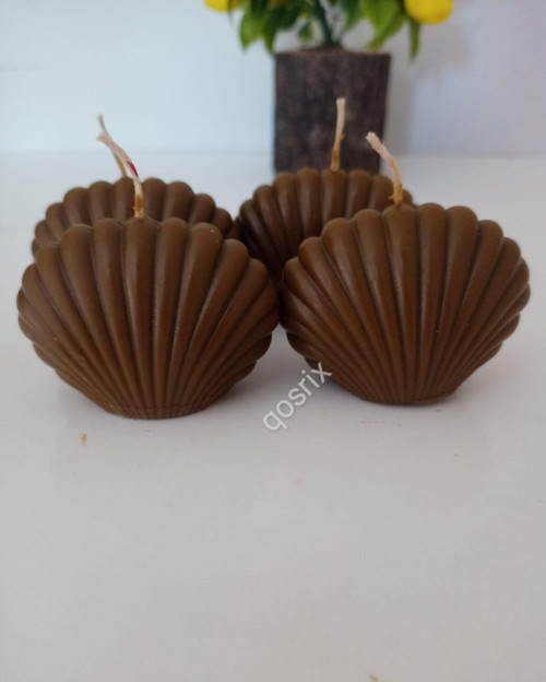 4'lü Kahverengi Mini İstiridye Deniz Kabuğu 1. Kalite Doğal Kokulu Mum Dekoratif