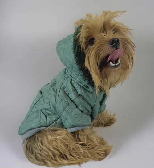 Green Comfy Köpek Montu, Köpek Ceketi, Köpek Dış Giyim