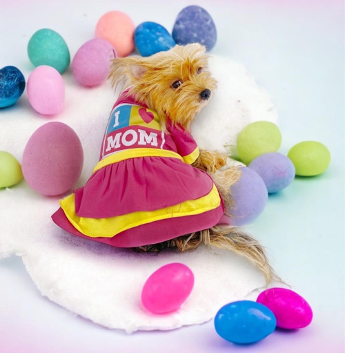 Anneler Günü Hediye Kutulu I Love Mom Pink Köpek Kıyafeti,Elbisesi Anneler Günü, Anneye Hediye, Anne