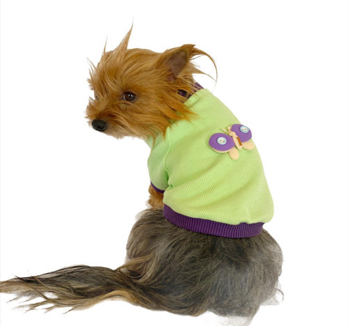 Sweet Butterfly Oval Yaka Tişört Köpek Kıyafeti Köpek Elbisesi