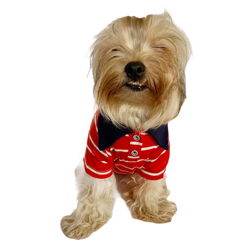 Red Stripe Elegance Polo Yaka Tişört Köpek Kıyafeti Köpek Elbisesi