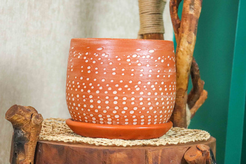 Beyaz Nokta Desenli Doğal Tabaklı Terracota Toprak Saksı Saksılık Salon Çiçeklik 19 CM