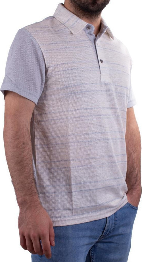 2281 Gri Polo Yaka Erkek T-Shirt