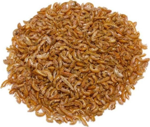 Gammarus 50 Gr Kaplumbağa ve Balık Yemi
