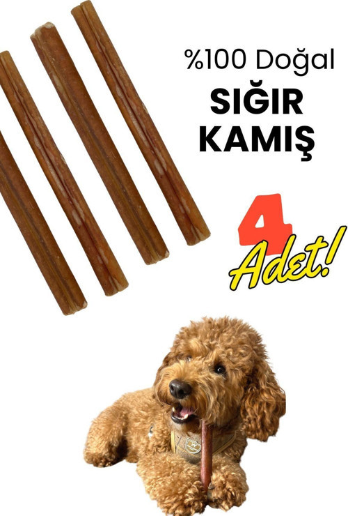 Köpek Ödül Kemiği 4 Adet Doğal Dana Kamış Köpek Çiğneme Çubuğu 15 Cm Köpek Ödül Maması