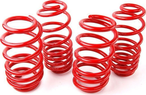 Coil-Ex Peugeot 407 2004-2011 Arası 30/30 mm Spor Yay