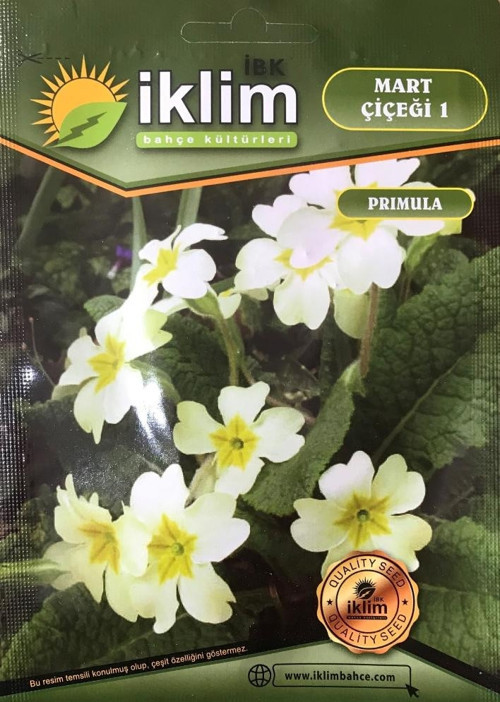 Mart Çiçeği Çiçek Tohumu 1 - Primula Acaulis (~ Takribi 30 Tohum)