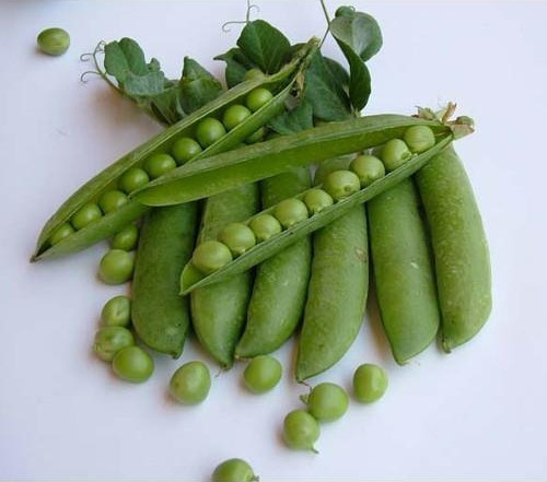 Yerli İri Tane Bezelye Tohumu 50 Gr (Takribi 150 tohum) İlaçsız