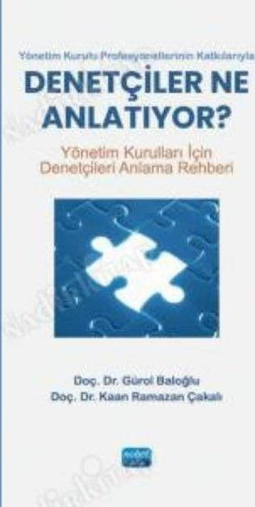 Yönetim Kurulu Profesyonellerinin Katkılarıyla Denetçiler Ne Anlatıyor?