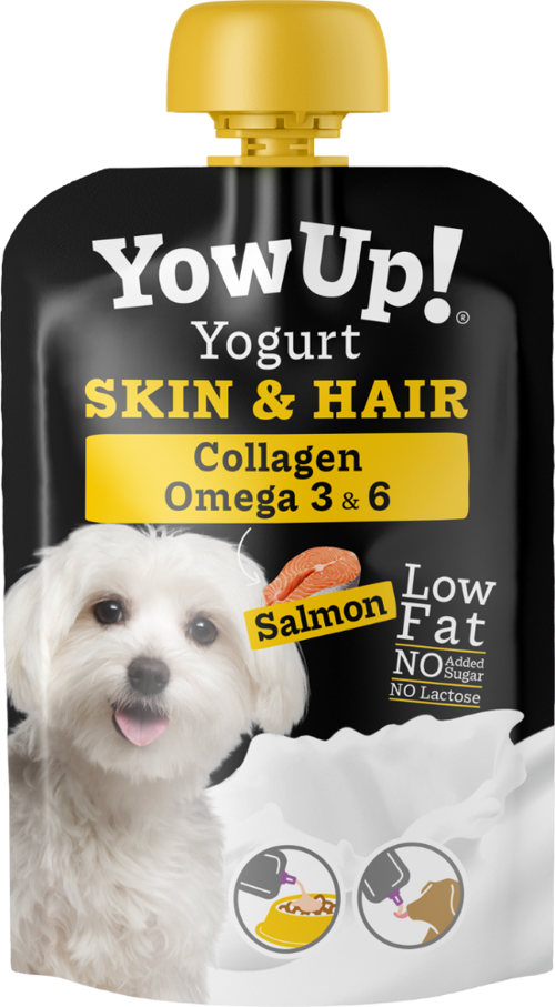 Skın Haır Collagen Omega 3-6 Solmon Köpek Yoğurdu 115 Gr