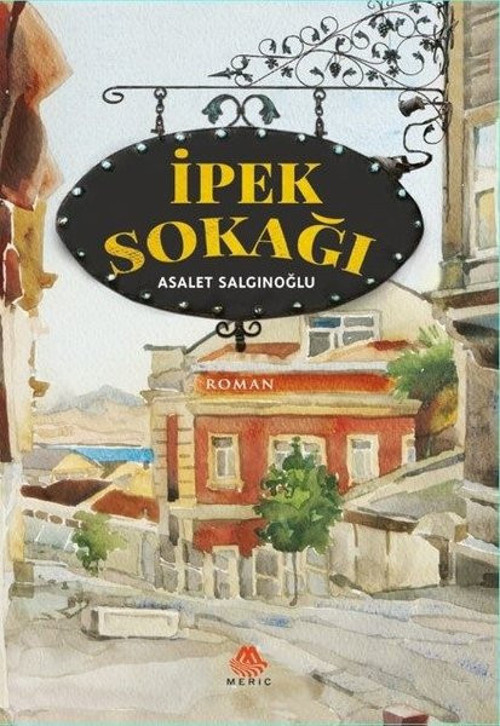 Meriç Yayınları İpek Sokağı