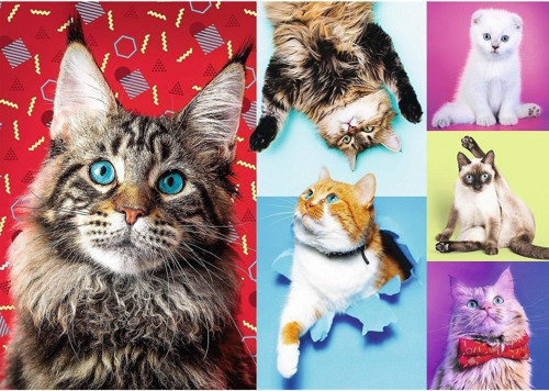 Puzzle Happy Cats 1000 Parça Puzzle