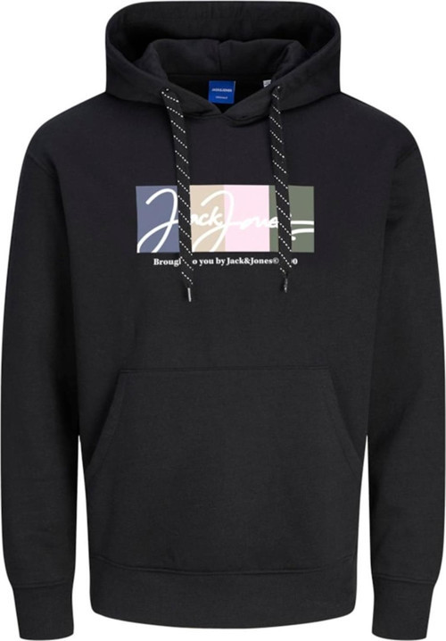JORPORTLAND BLOCK SWEAT HOOD LN SİYAH 12262421
