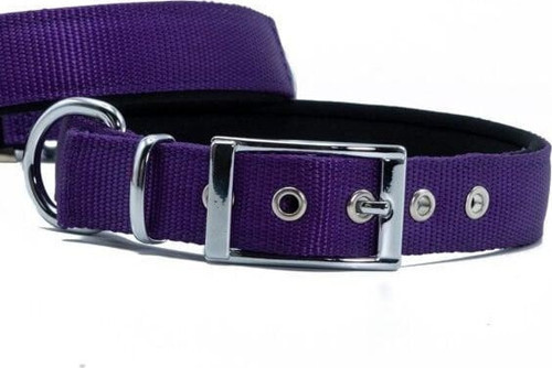 Elit Dokuma Köpek Boyun Tasması Large Mor 2.5x42-50 Cm - Petshopundan