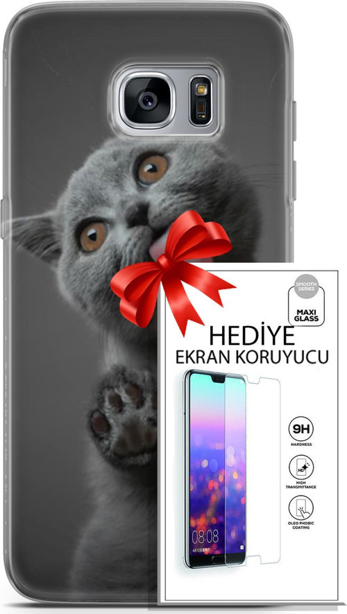 Samsung Galaxy S7 Edge Kılıf Orijinal Seri Scotish-British 09 Yavru Kedi Uv Kılıf Ve Ekran Koruyucu