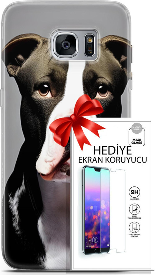 Samsung Galaxy S7 Edge Kılıf Orijinal Seri Dogs 24 American Pitbull Darbe Emici Kılıf + Ekran Koruyucu