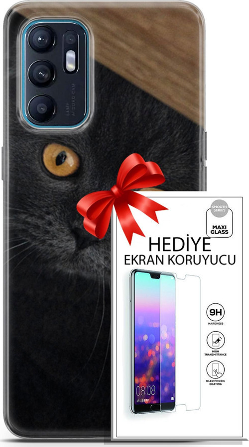 Oppo Reno 6 4G Kılıf Orijinal Seri Scotish-British 03 Sarı Gözler Arka Kapak + Ekran Koruyucu