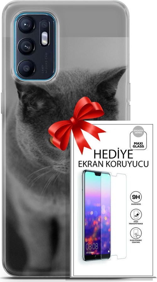 Oppo Reno 6 4G Kılıf Orijinal Seri Scotish-British 04 Turuncu Göz Silikon Kılıf + Ekran Koruyucu Ful