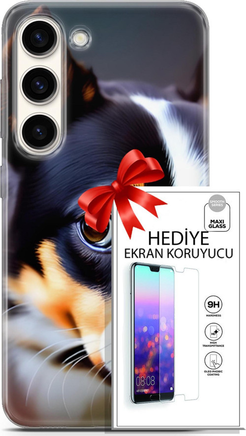Samsung Galaxy S23 Kılıf Orijinal Seri Dogs 11 İsviçre Bernese 4K Baskılı Kılıf + Ekran Koruyucu Ful