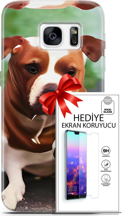 Samsung Galaxy S7 Kılıf Orijinal Seri Dogs 29 American Staffordshire Leke Tutmaz Kapak + Ekran Koruyucu