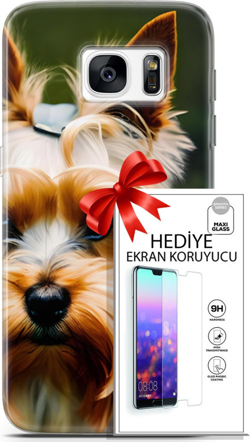 Samsung Galaxy S7 Kılıf Orijinal Seri Dogs 13 Yorkshire Terriyer Case Kapak Ekran Koruyucu