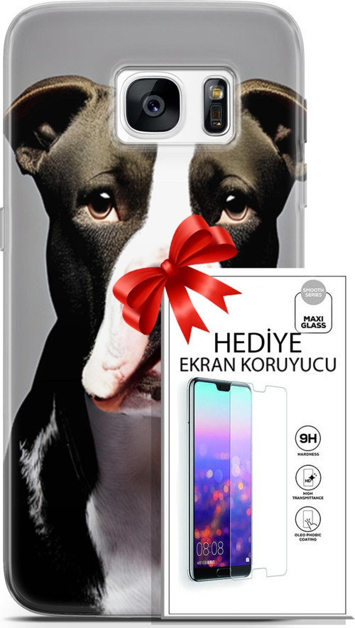 Samsung Galaxy S7 Kılıf Orijinal Seri Dogs 24 American Pitbull Darbe Emici Kılıf + Ekran Koruyucu