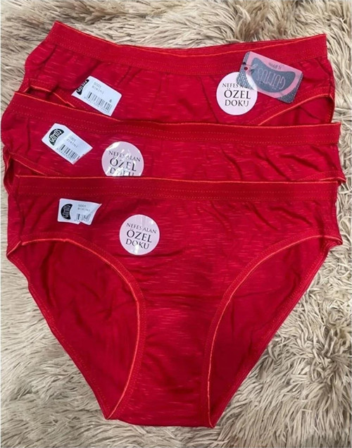 Kadın Nefes Alan Özel Dokulu Bikini Külot 5001/ 645 - 12 Adet