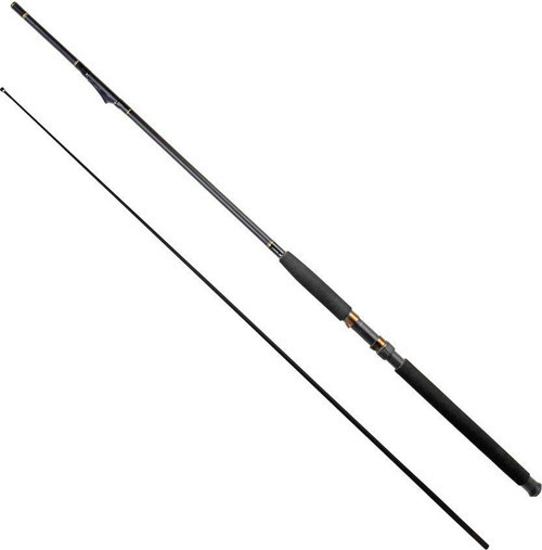 İnliner 5-20 Gr 2,70 Cm Kamış